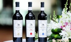 乐鱼体育网页版入口-尼姆豪取胜利，冲击法国桂冠