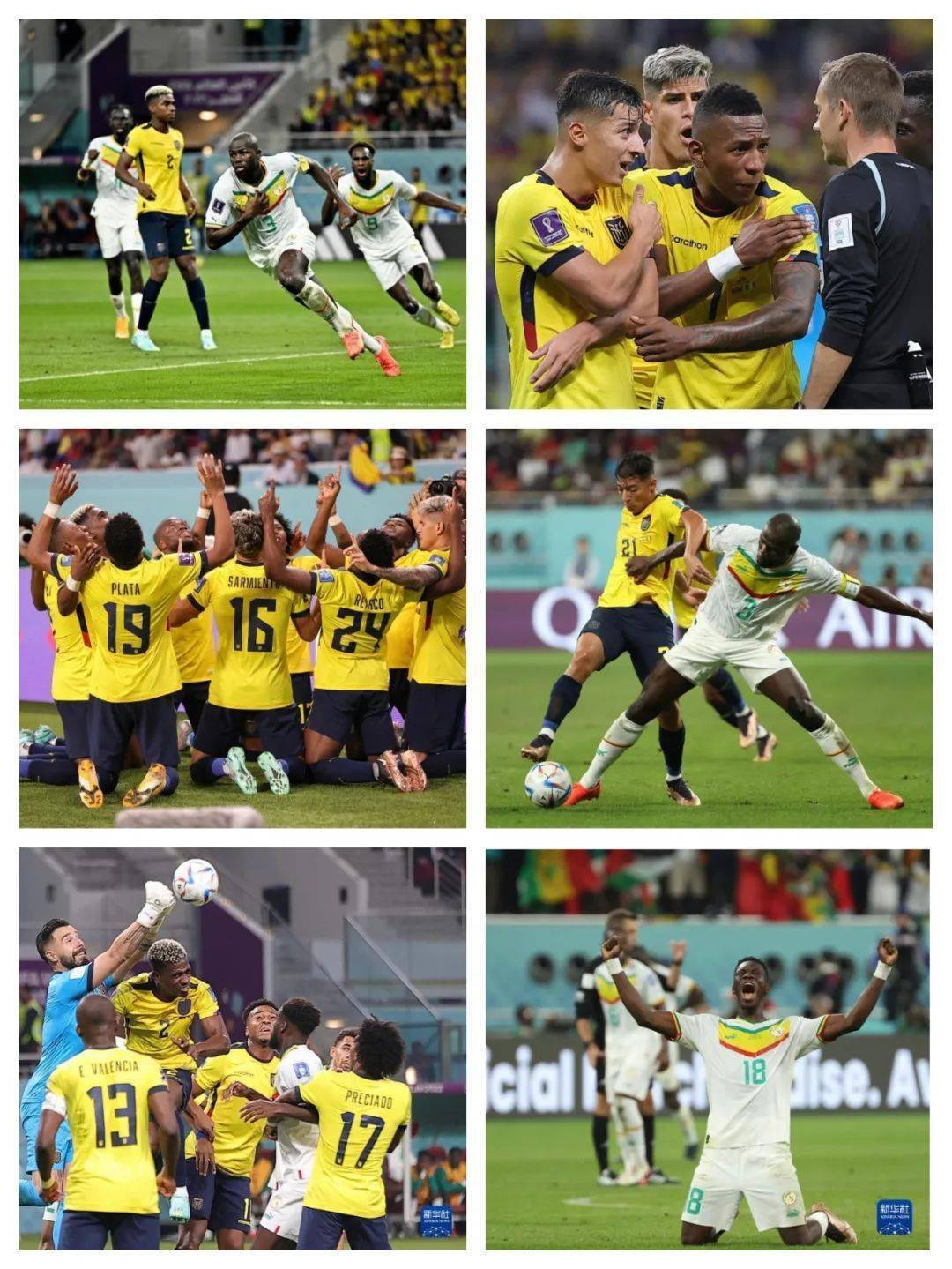 关于新加坡雄狮不敌对手,滑落小组垫底的信息 关于新加坡雄狮不敌对手,滑落小组垫底的信息